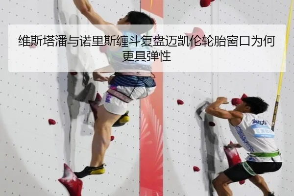 维斯塔潘诺里斯对抗再观察 迈凯伦轮胎窗口优势更加明显