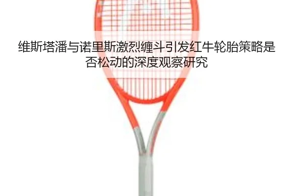 维斯塔潘与诺里斯缠斗复盘 红牛轮胎策略出现新变量