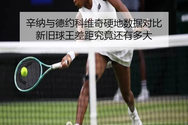 辛纳与德约硬地数据再比较 男子网坛新旧格局加速更替